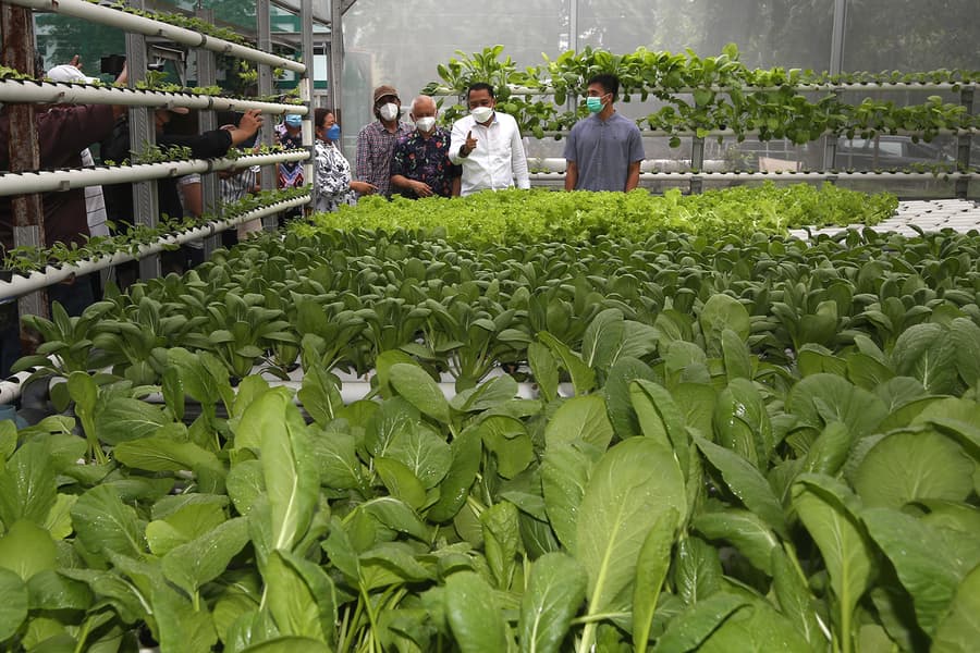 Automated Irrigation System
